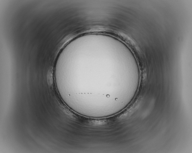 X0000111141409200907141312