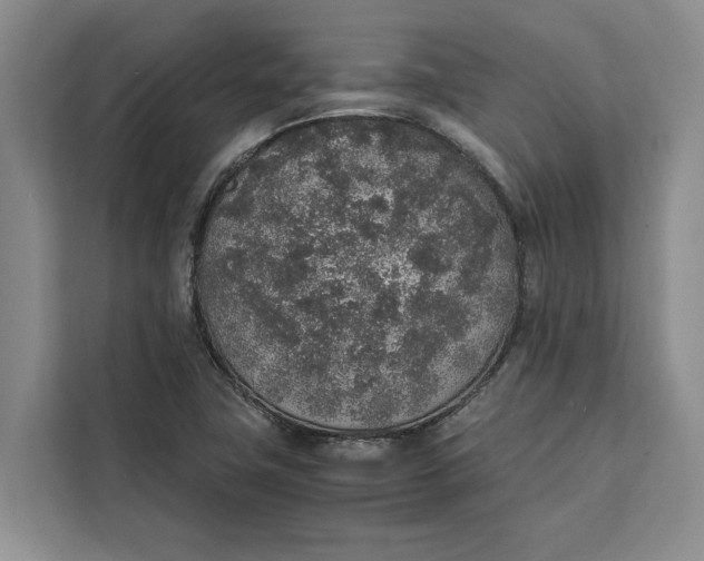 X0000111141411200907141312