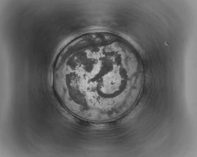 X0000111141413200907141312