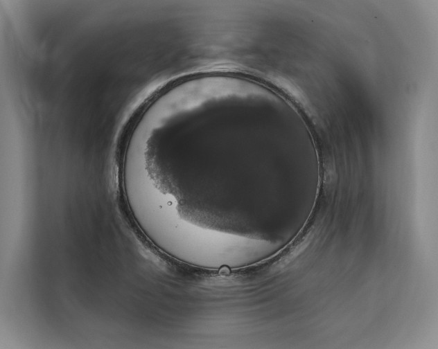 X0000111141414200907141312