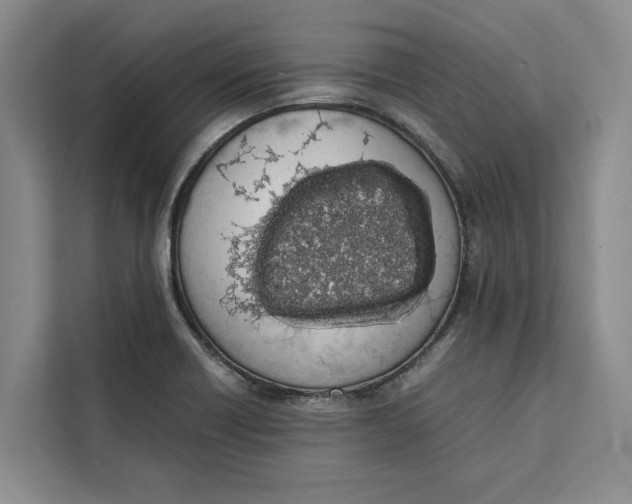 X0000111141418200907141312