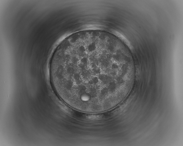 X0000111141419200907141312