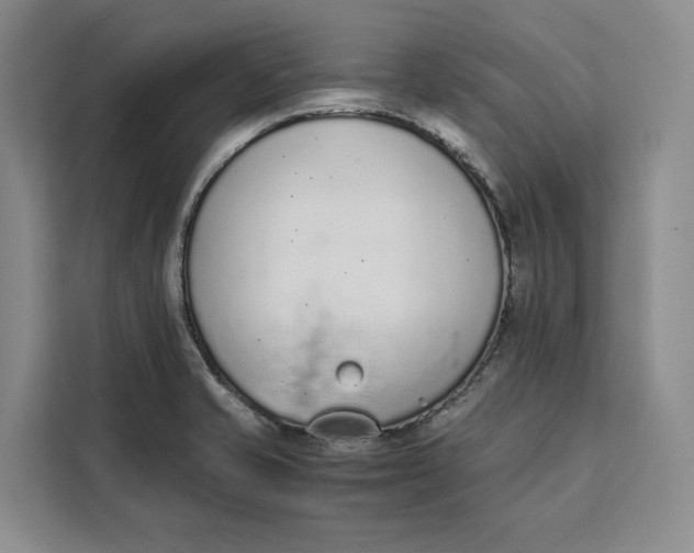 X0000111141421200907141312