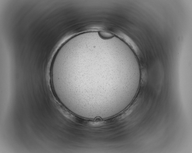 X0000111141435200907141312