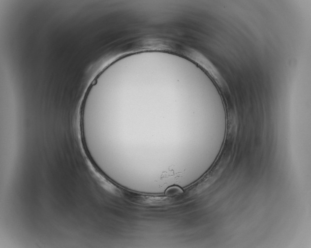 X0000111141439200907141312