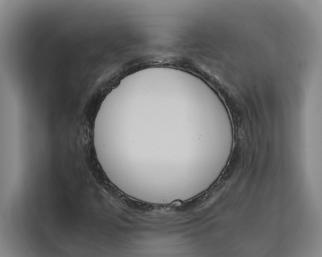 X0000111141447200907141312