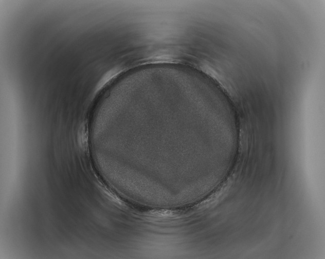 X0000111141450200907141312