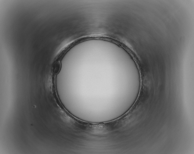 X0000111141456200907141312