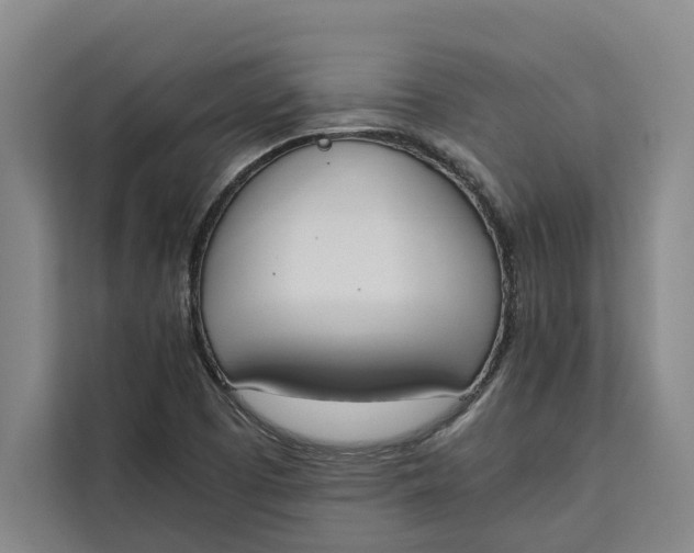 X0000111141457200907141312