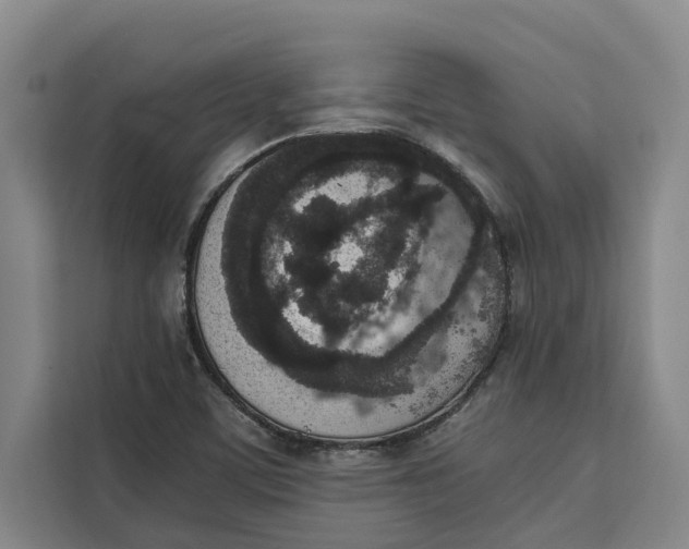 X0000111141459200907141312