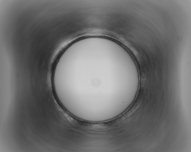 X0000111141464200907141312