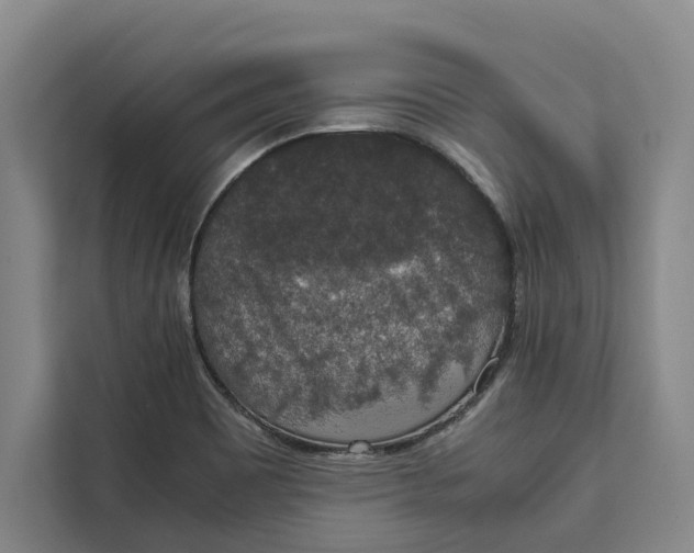 X0000111141465200907141312