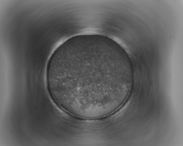 X0000111141469200907141312