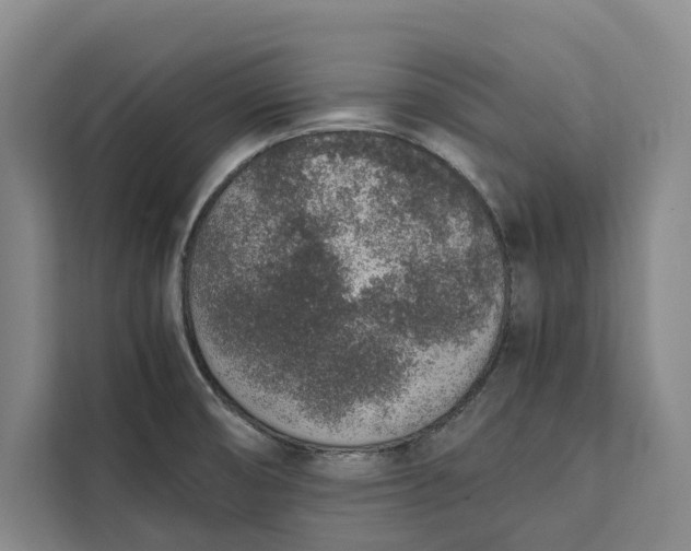 X0000111141474200907141311