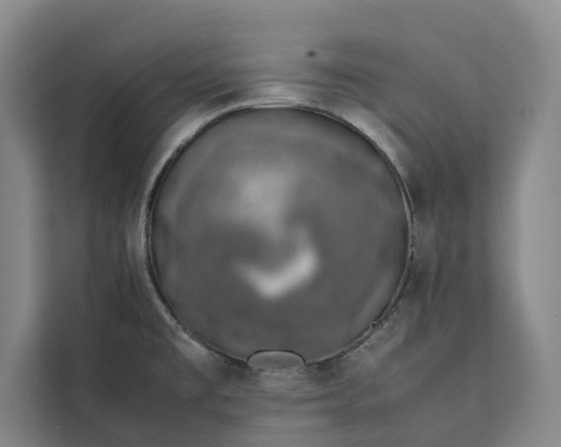 X0000111141477200907141311