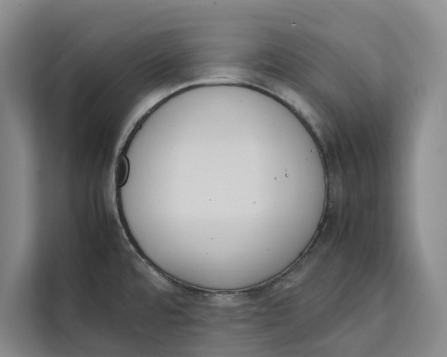 X0000111141480200907141311