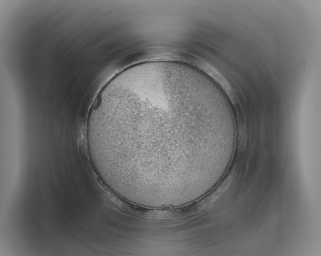 X0000111141481200907141311