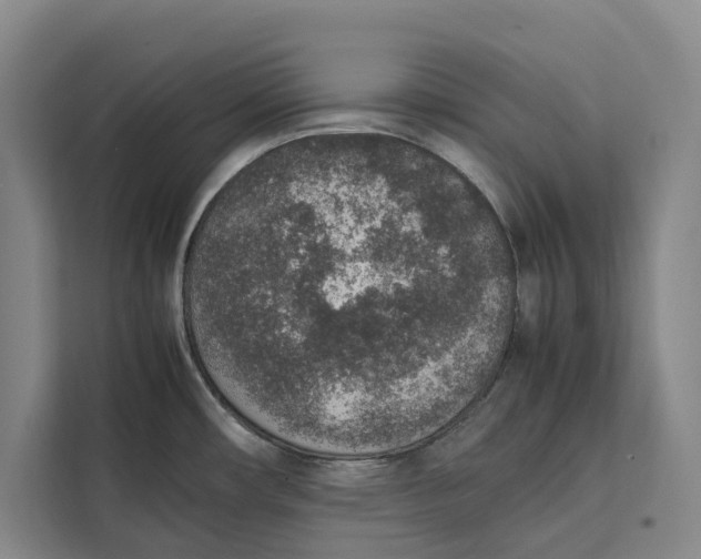 X0000111141482200907141311