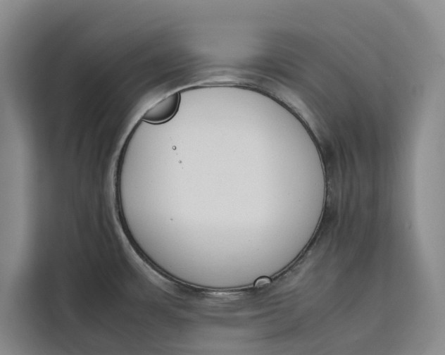 X0000111141483200907141311