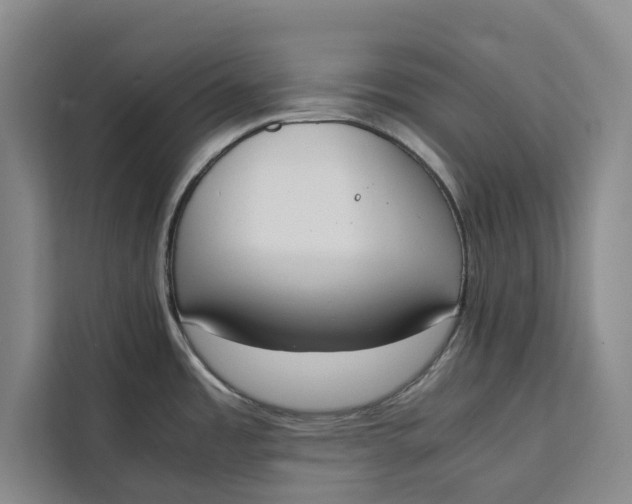 X0000111141485200907141311