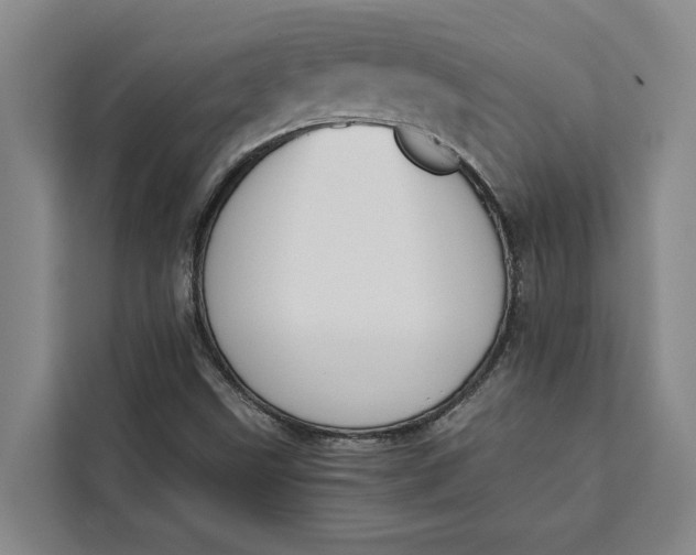 X0000111141499200907141311