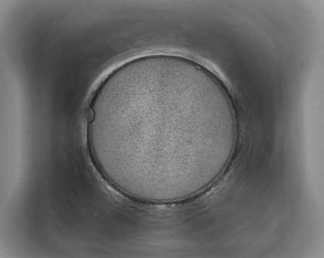 X0000111141504200907141311