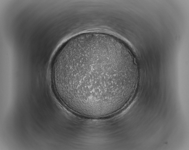 X0000111141506200907141311