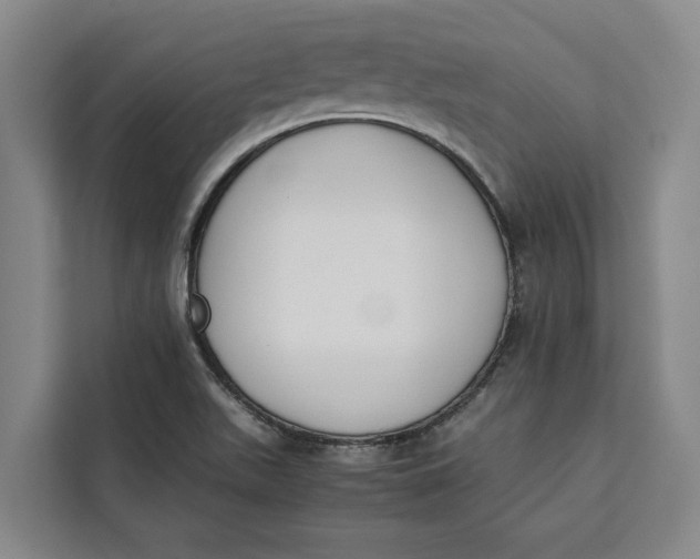 X0000111141511200907141311