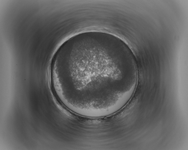 X0000111141515200907141311