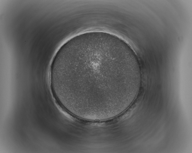 X0000111141519200907141311