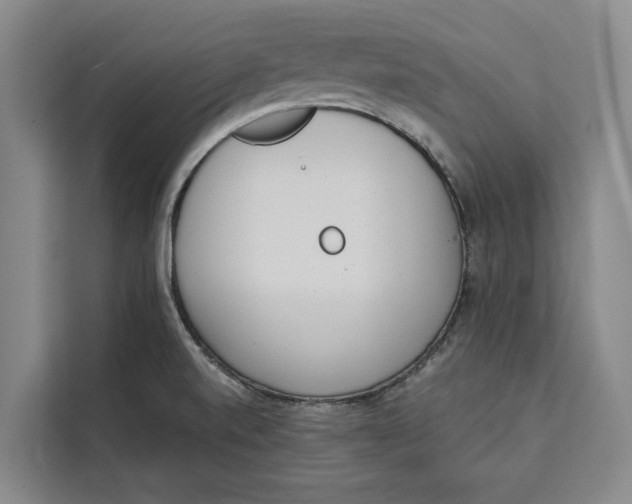 X0000111141520200907141311