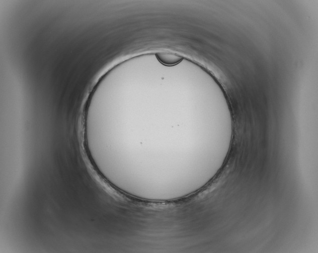 X0000111141526200907141311