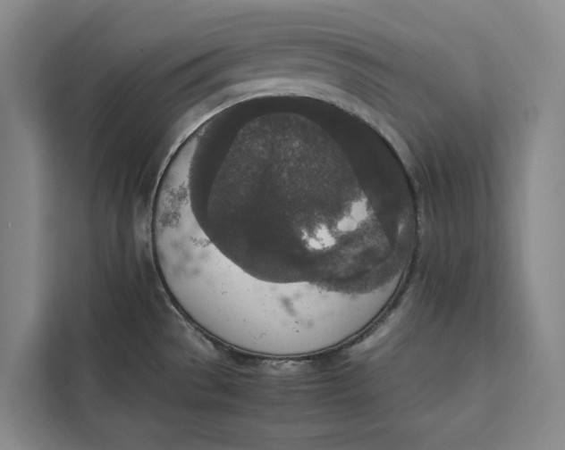 X0000111141529200907141311