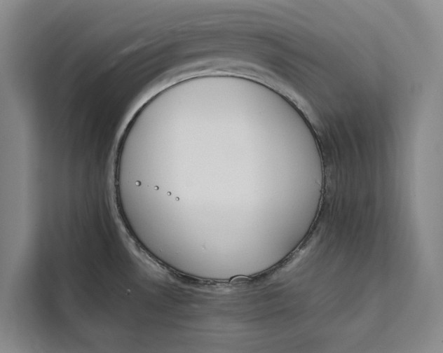 X0000111141530200907141311