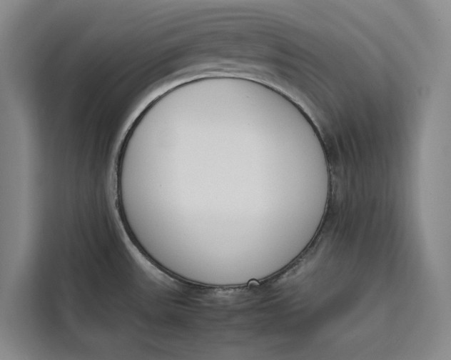 X0000111141531200907141311