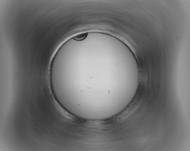 X0000111141532200907141311