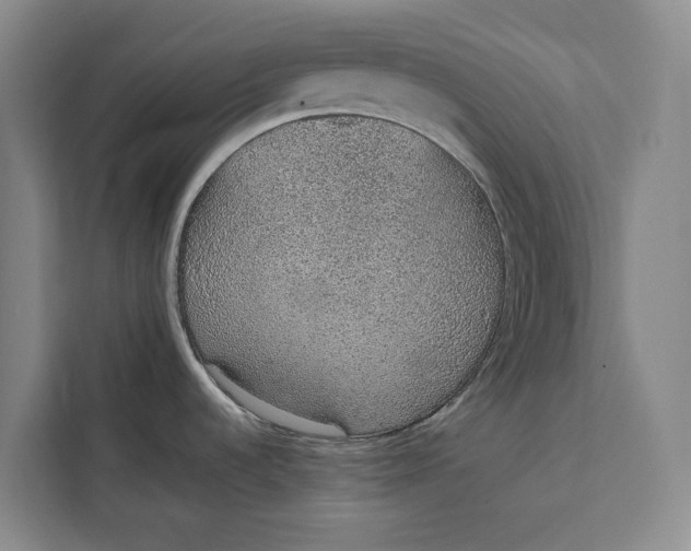 X0000111141536200907141311