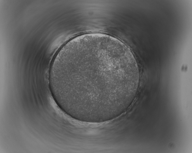 X0000111140002200907211150