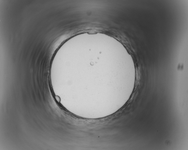 X0000111140003200907211150