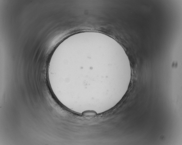 X0000111140005200907211150