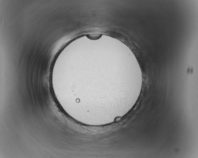 X0000111140006200907211150