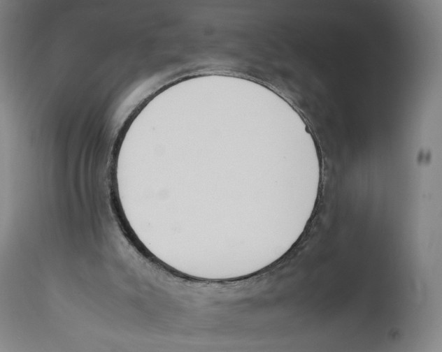 X0000111140007200907211150