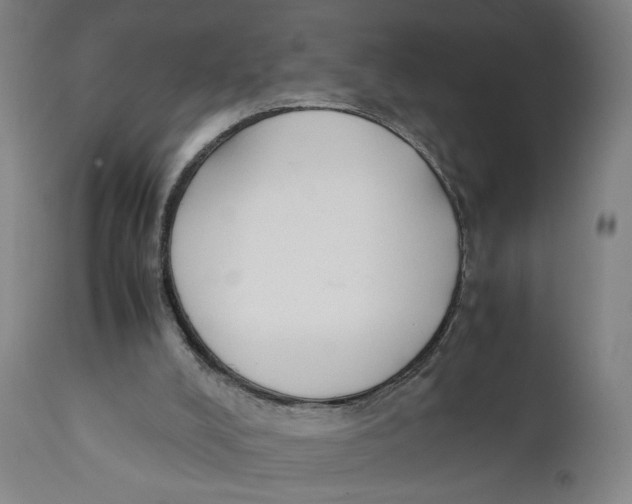 X0000111140008200907211150