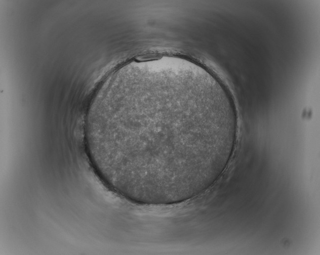 X0000111140009200907211150