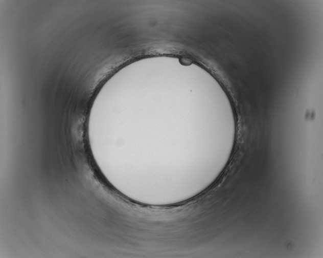 X0000111140010200907211150