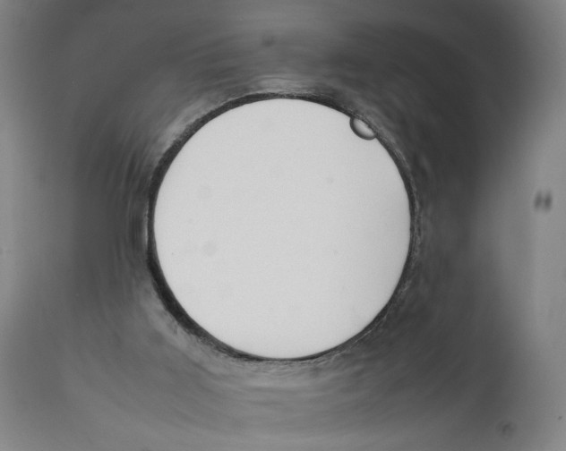 X0000111140011200907211150