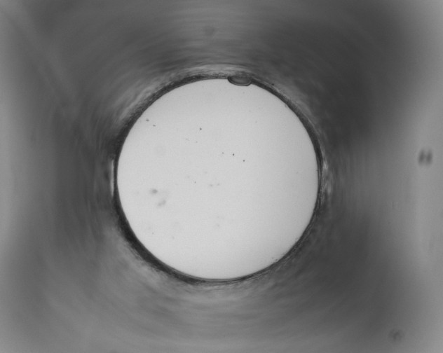 X0000111140013200907211150