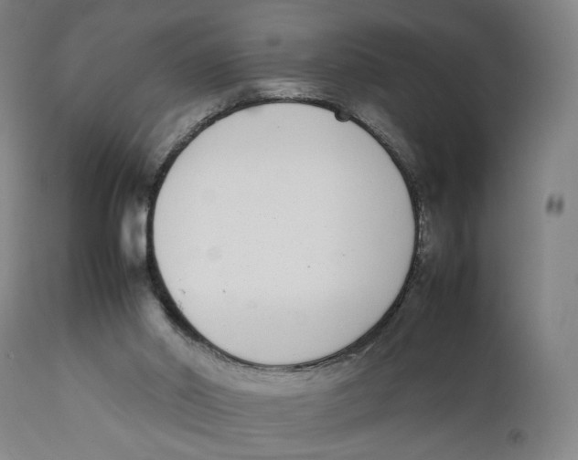 X0000111140014200907211150