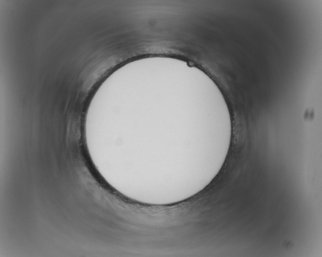 X0000111140015200907211150