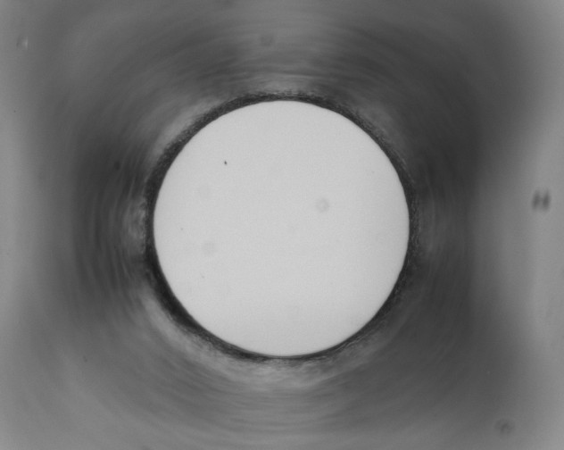 X0000111140016200907211150